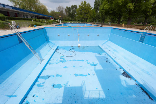 Best Professional water damage repair  in Crimora, VA