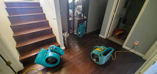 Best Water damage restoration near me  in Crimora, VA