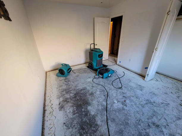 Best Water damage restoration near me  in Crimora, VA