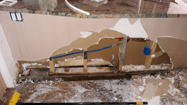 Best Water damage restoration cost  in Crimora, VA