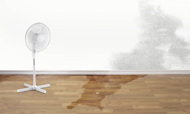 Best 24-hour water damage restoration  in Crimora, VA