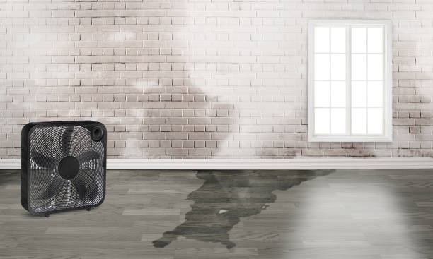 Best Residential water damage restoration  in Crimora, VA