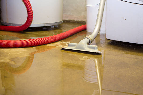 Best 24/7 water damage repair  in Crimora, VA