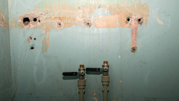 Trusted Crimora, VA Water damage restoration Experts
