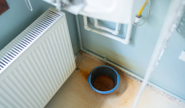 Best Carpet water damage restoration  in Crimora, VA