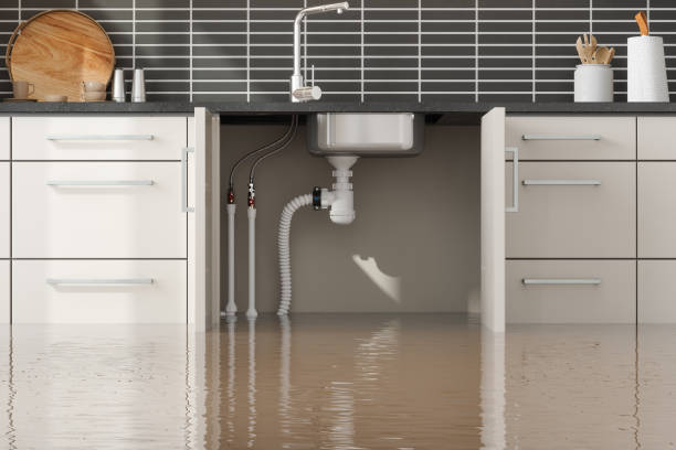 Best Basement water damage restoration  in Crimora, VA