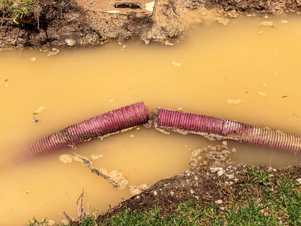  Crimora, VA Water damage restoration Pros
